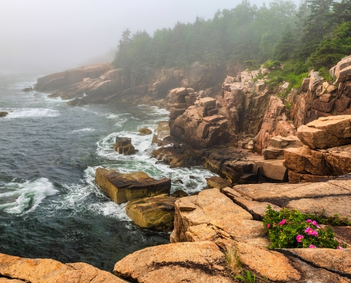 Acadia National Park Shoreline Fog Maine