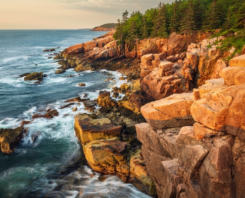 Acadia National Park Shoreline Sunrise