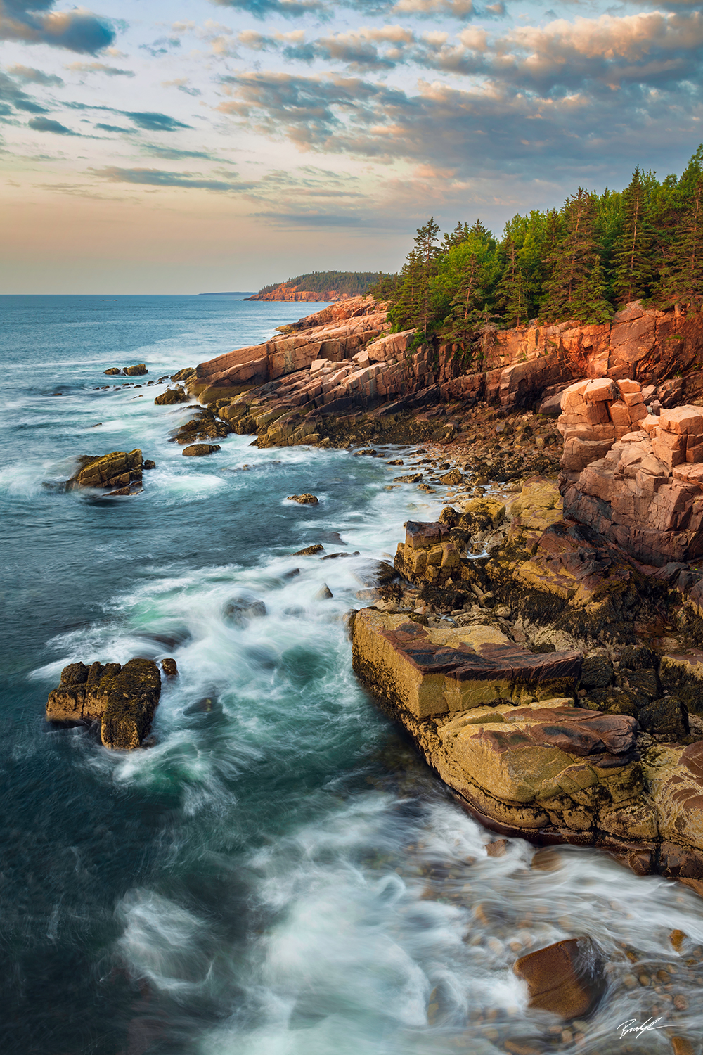 Shoreline Sunrise Acadia National Park Maine