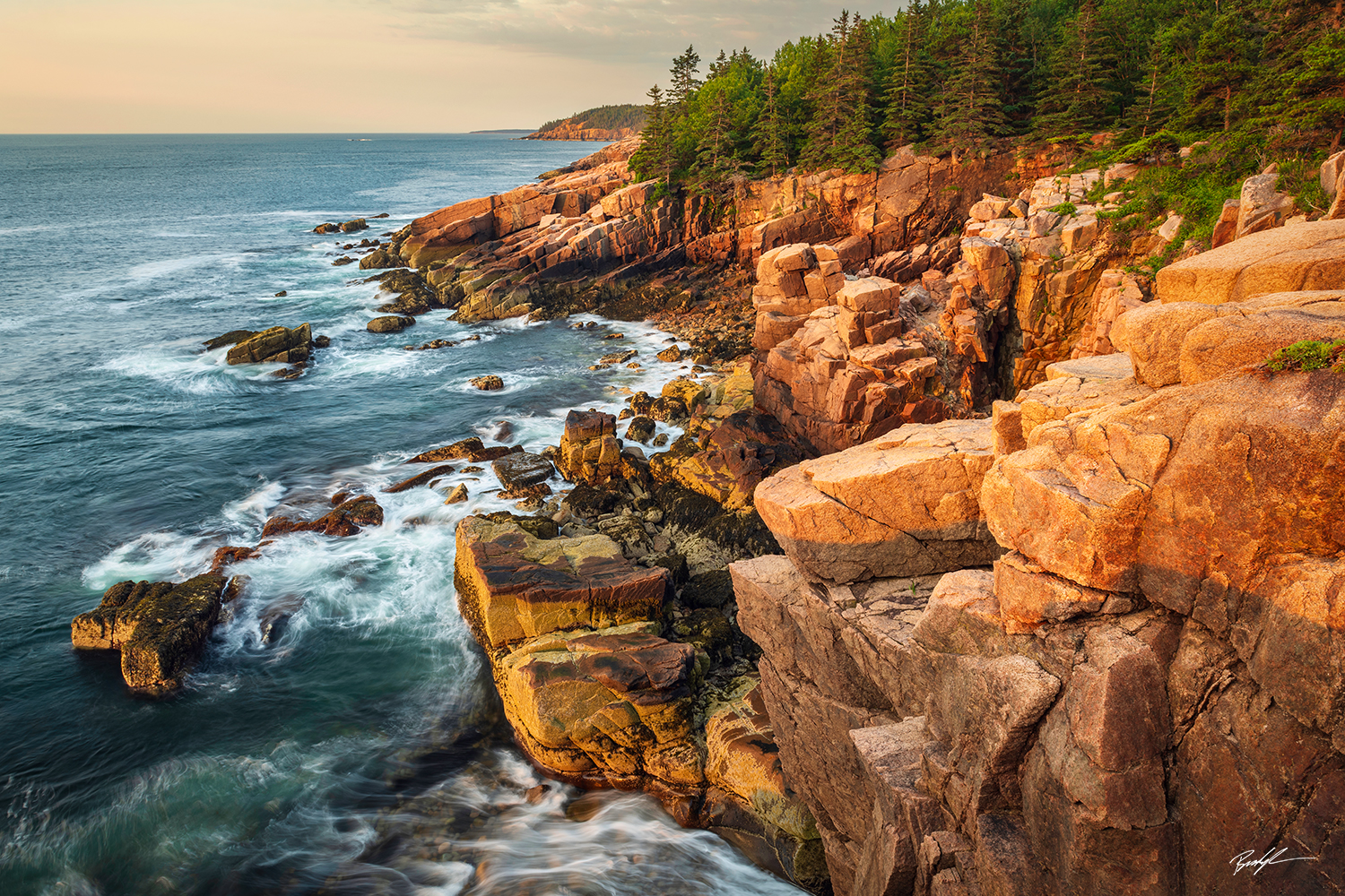 Acadia National Park Shoreline Sunrise