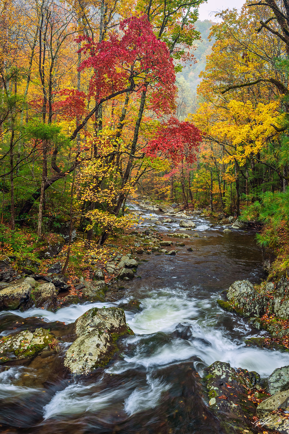 Little River, Smoky Mountain National Park, Tennessee
