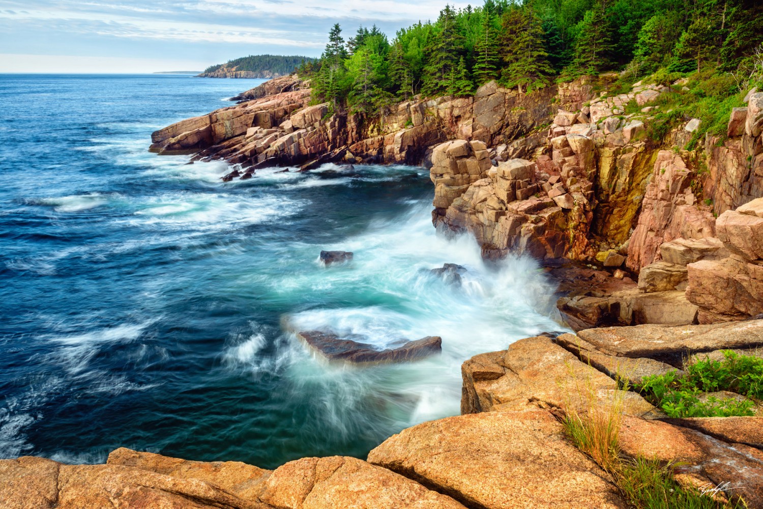 Acadia National Park Shoreline Maine