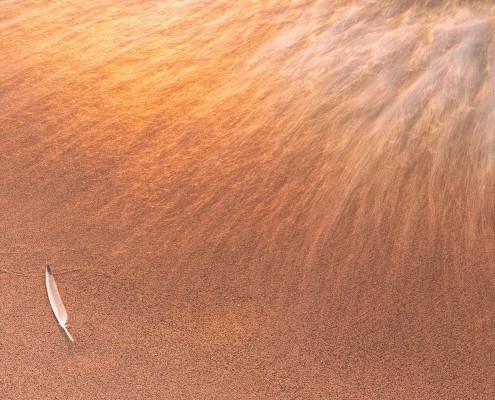 Wave Feather and Sunlight Lake Superior Michigan