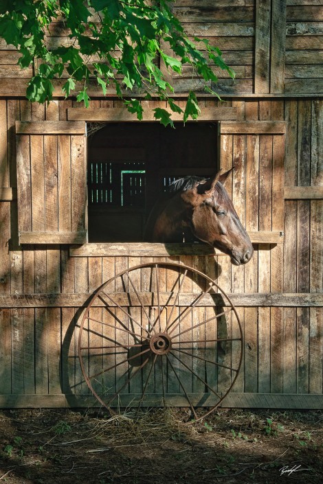 Sunlit Stable and Horse Brown County Indiana