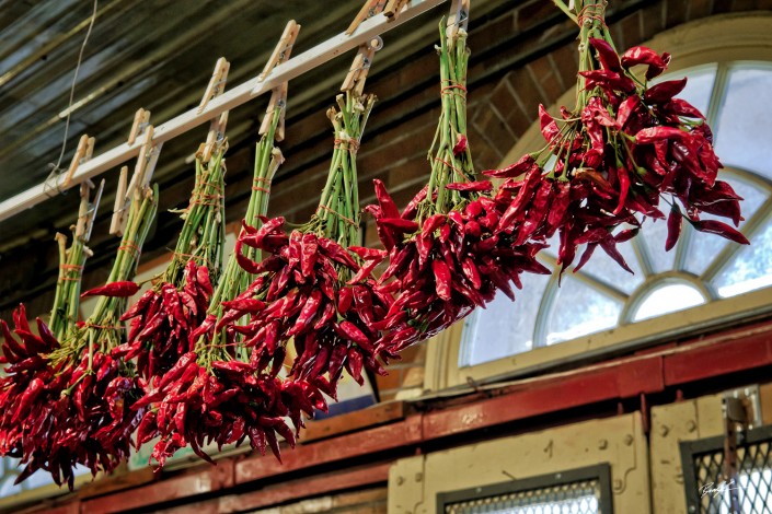 Red Chili Peppers Drying