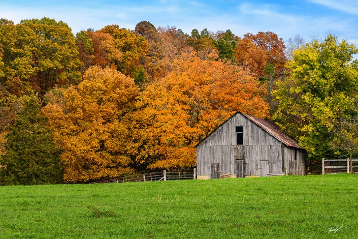 Barn and Autumn Leaves Missouri