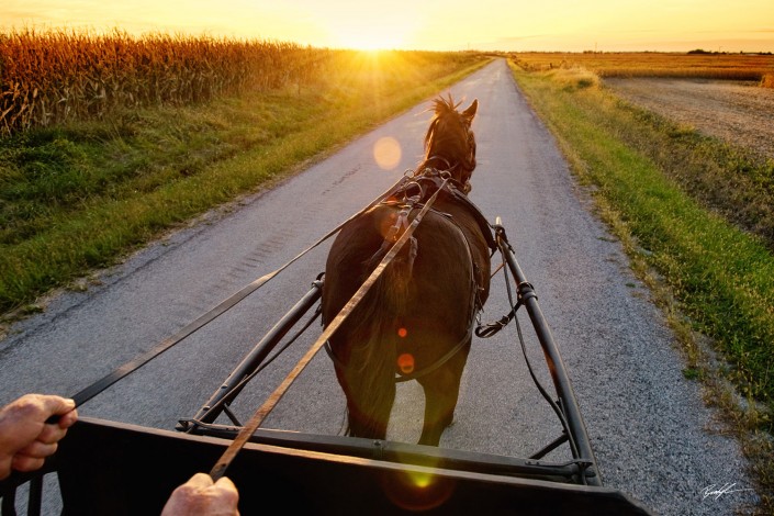 Horse Drawn Buggy at Sunset Bond County Illinois
