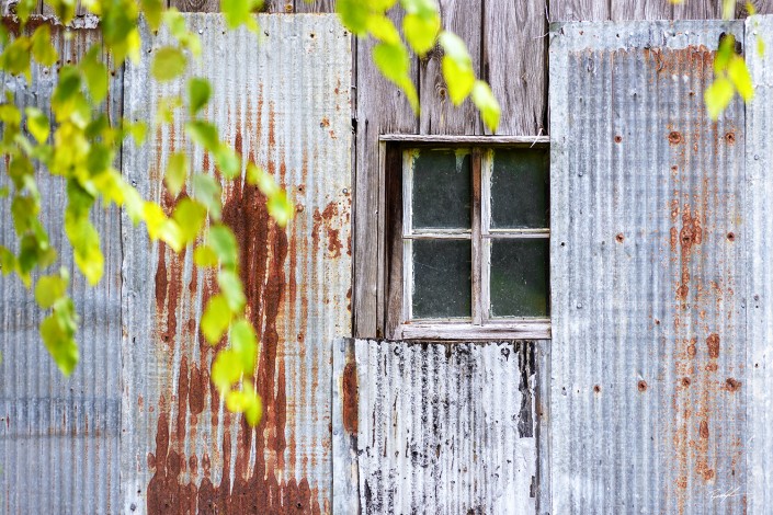 Metal Barn Window and Summer Branches Rural Missouri