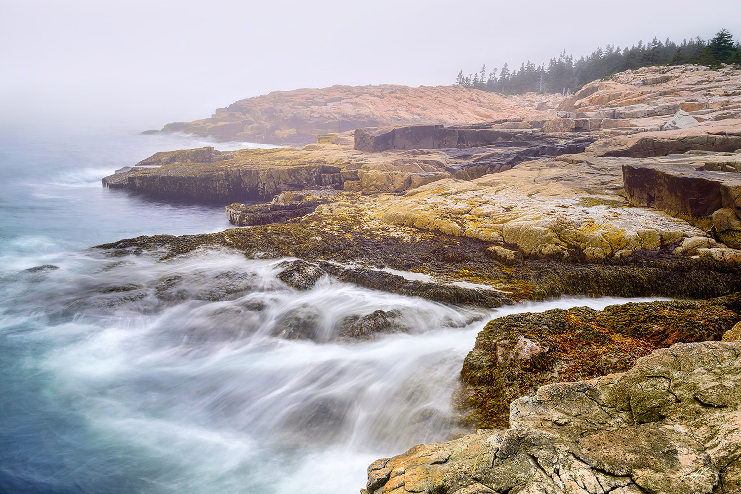 Schoodic Peninsula Fog Acadia National Park Maine