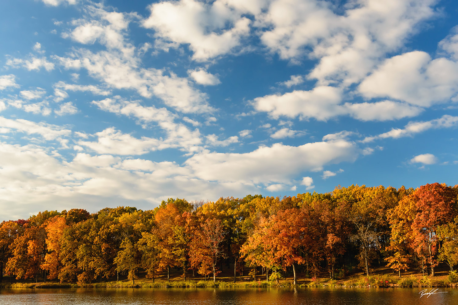 Silver Lake Autumn Trees Highland Illinois