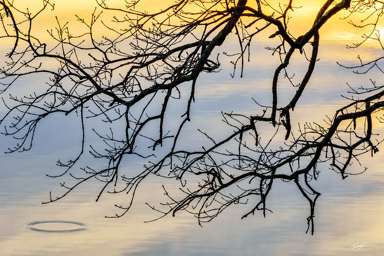 Sunset Reflection Silver Lake Highland Illinois