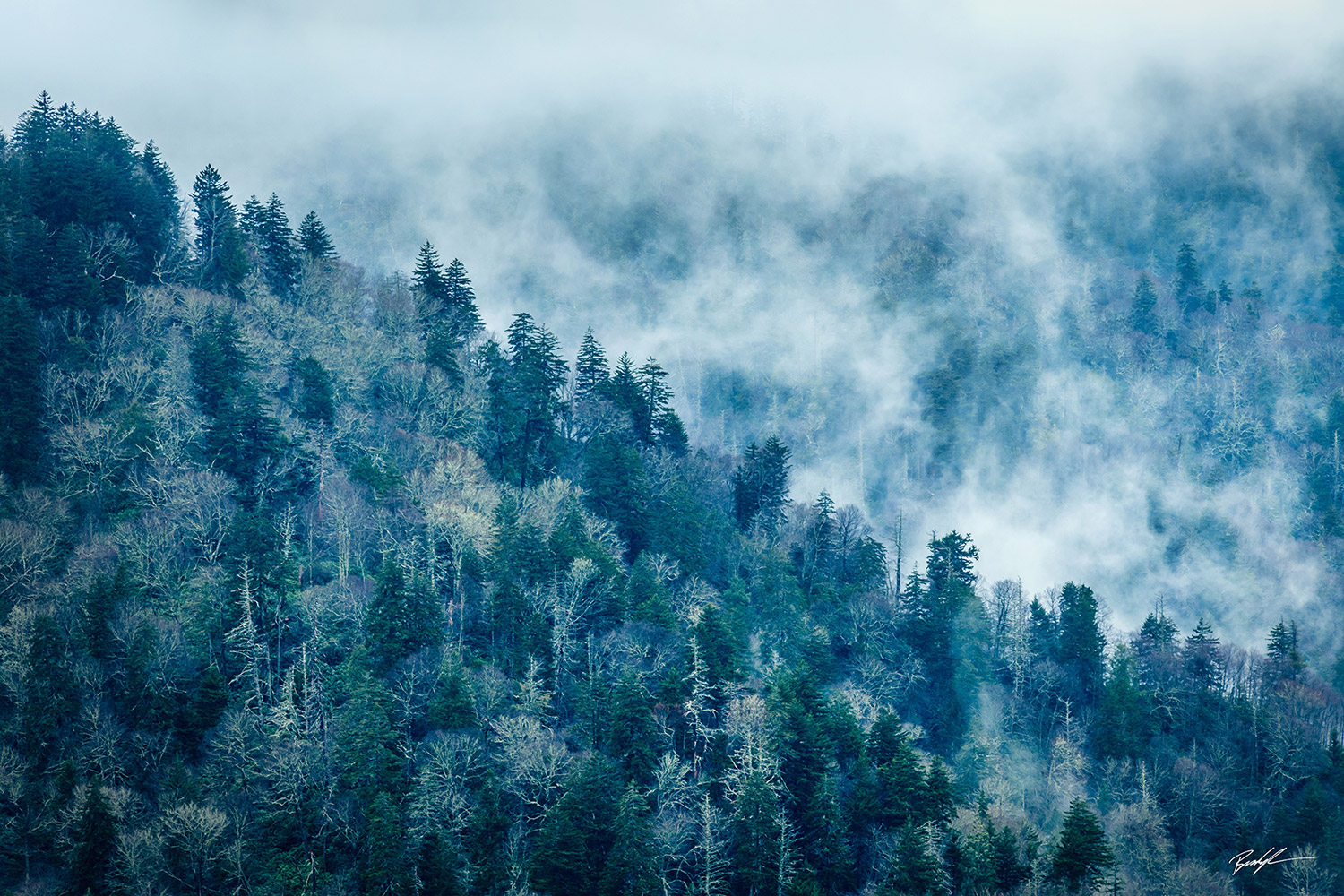 Smoky Mountains Blue Fog Tennessee