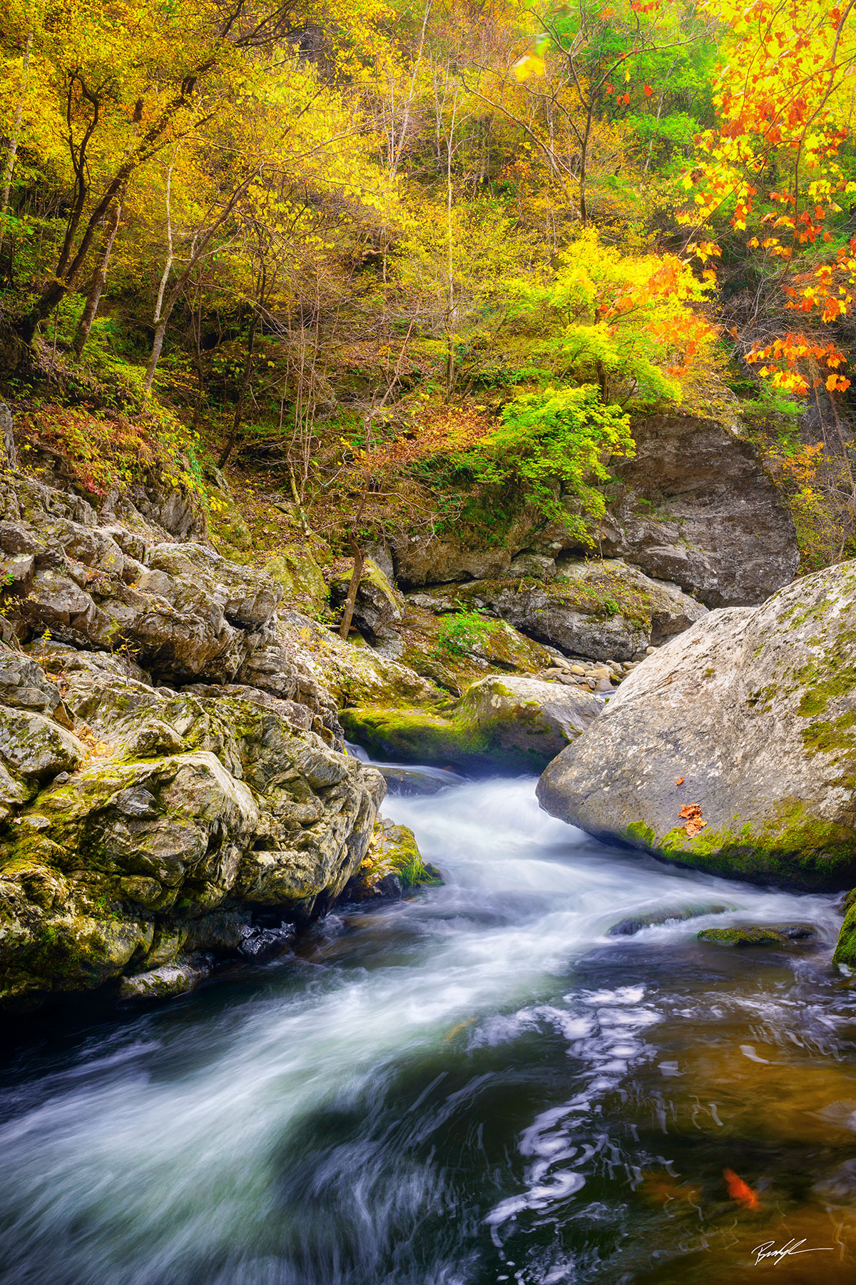 Autumn Little River Smoky Mountain National Park Tennessee