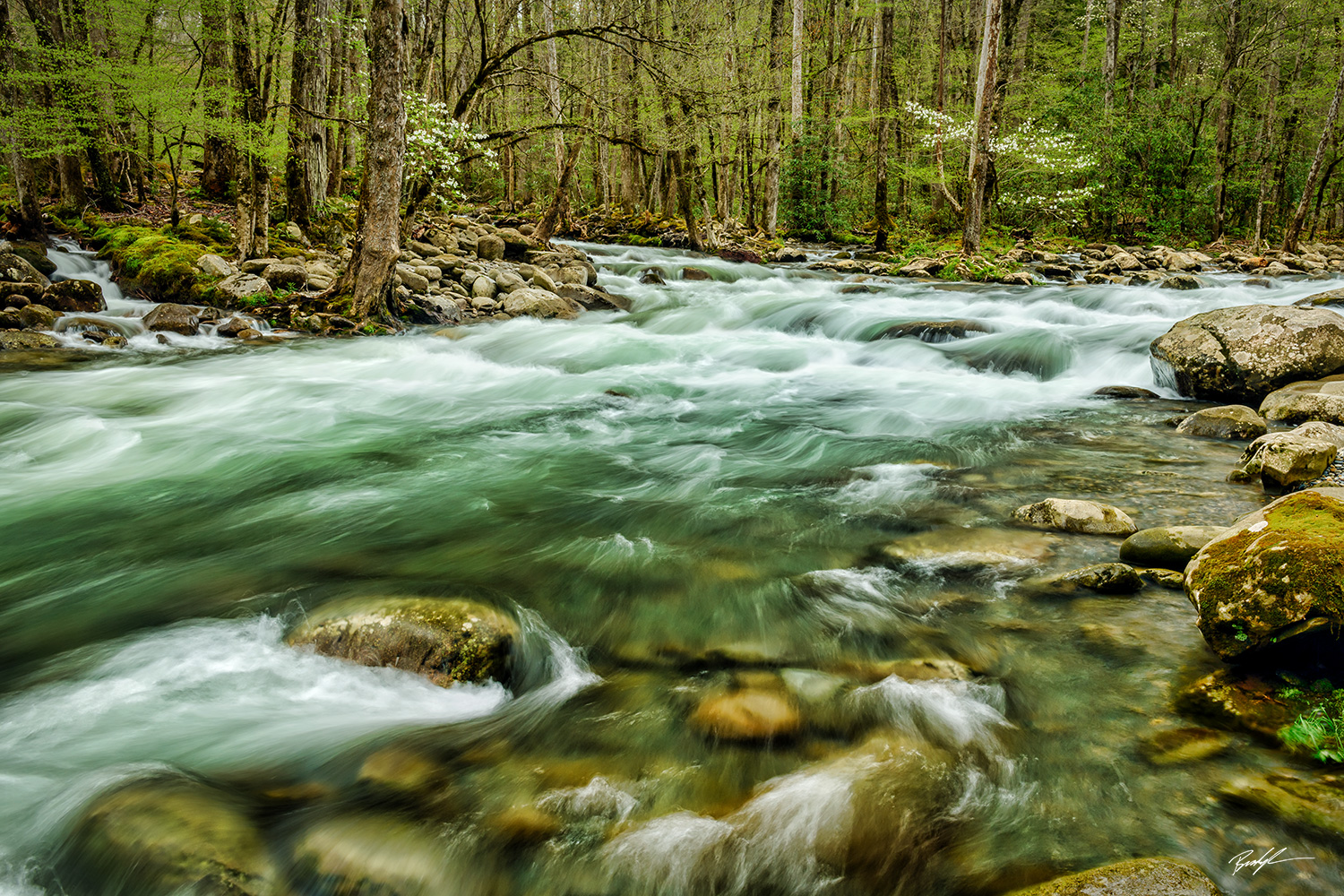 Greenbrier Little Pigeon River Smoky Mountains National Park Tennessee