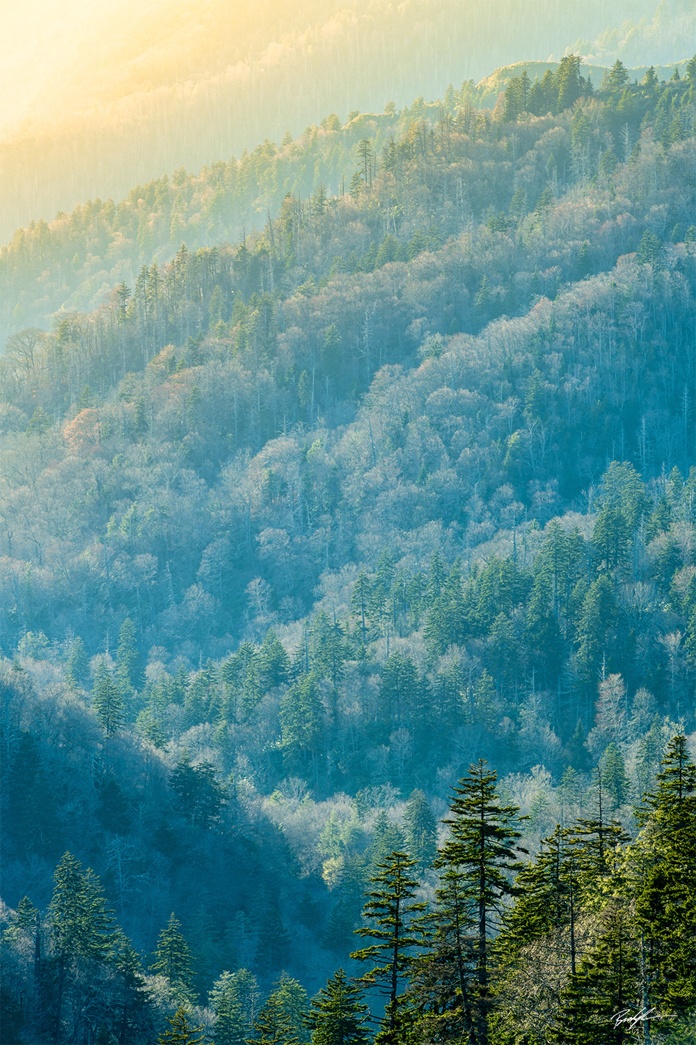 Morton Overlook Smoky Mountain National Park Tennessee