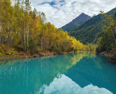 Knik River Tributary, Alaska