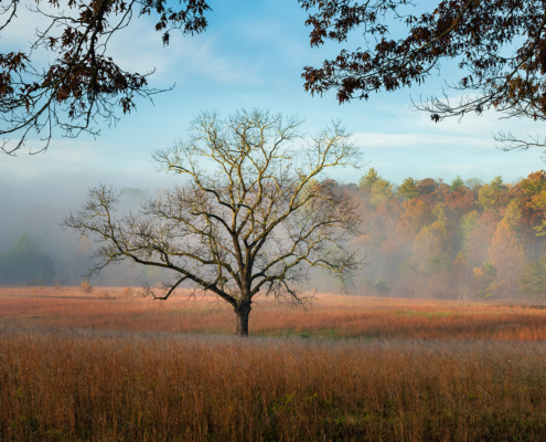 Cades Cove, Smoky Mountain National Park, Tennessee