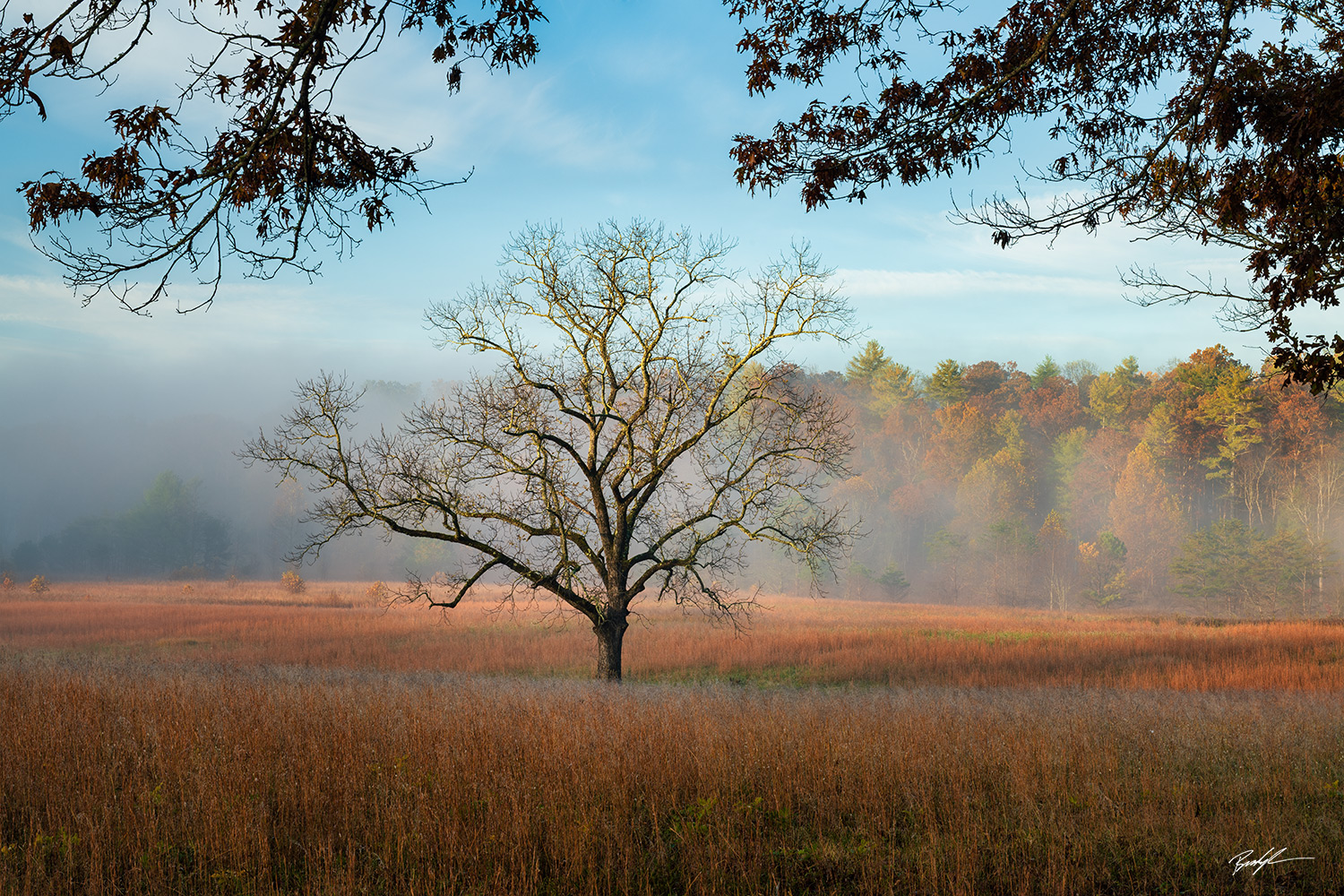 #L310 – Cades Cove, Smoky Mountain National Park, Tennessee Cades Cove, Smoky Mountain National Park, Tennessee