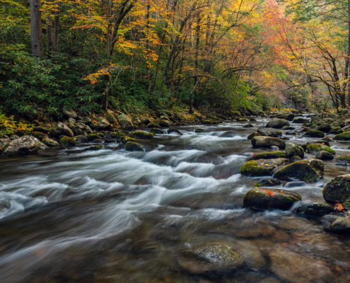 Little River, Smoky Mountain National Park, Tennessee