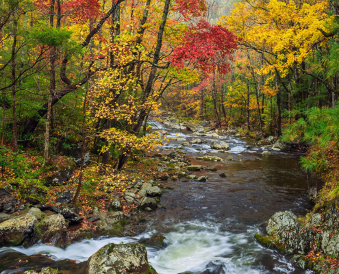 Little River, Smoky Mountain National Park, Tennessee