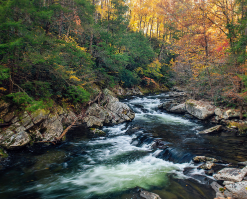#W148 - Little Pigeon River, Smoky Mountain National Park, Tennessee Little Pigeon River, Smoky Mountain National Park, Tennessee